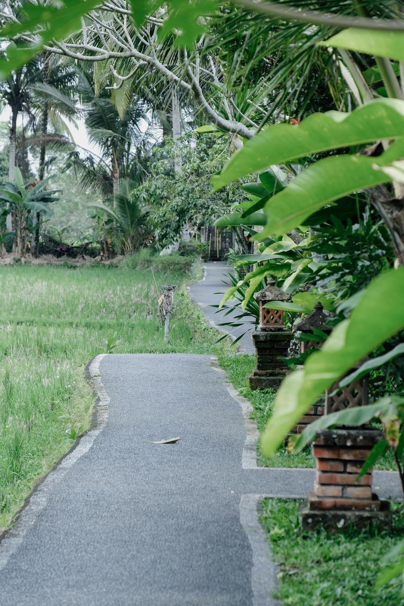 Guest house Intan *
