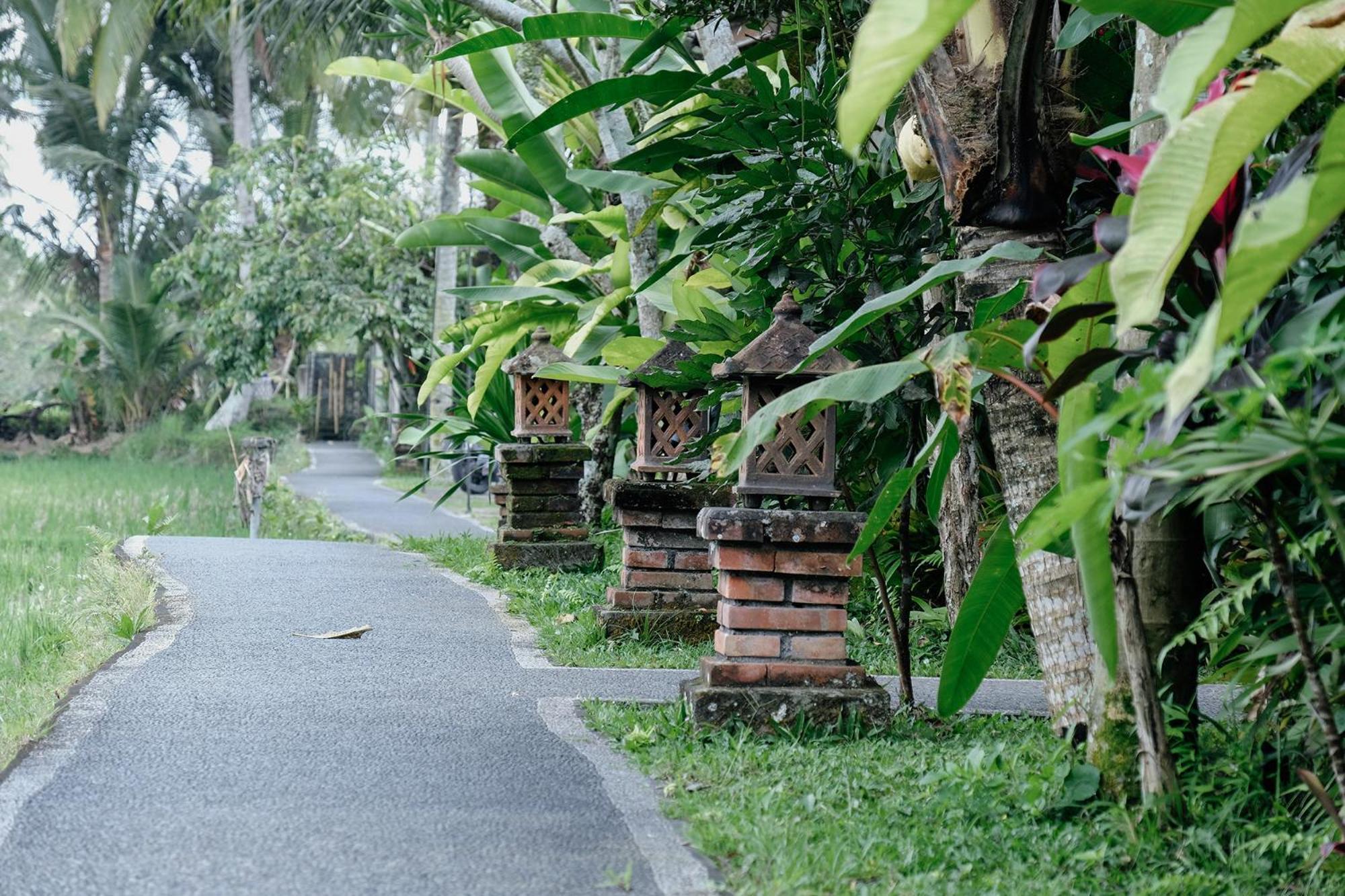 Intan Guest house Ubud (Bali)